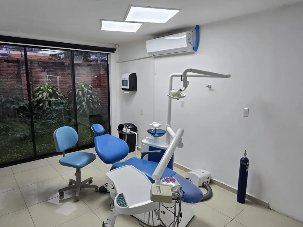 Dental One treatment room with garden view
